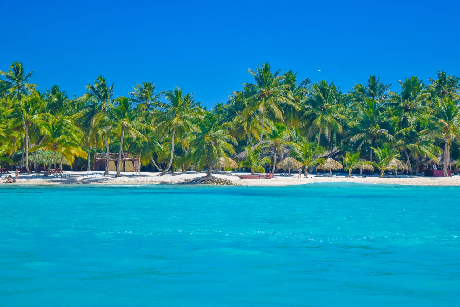 Saona Island