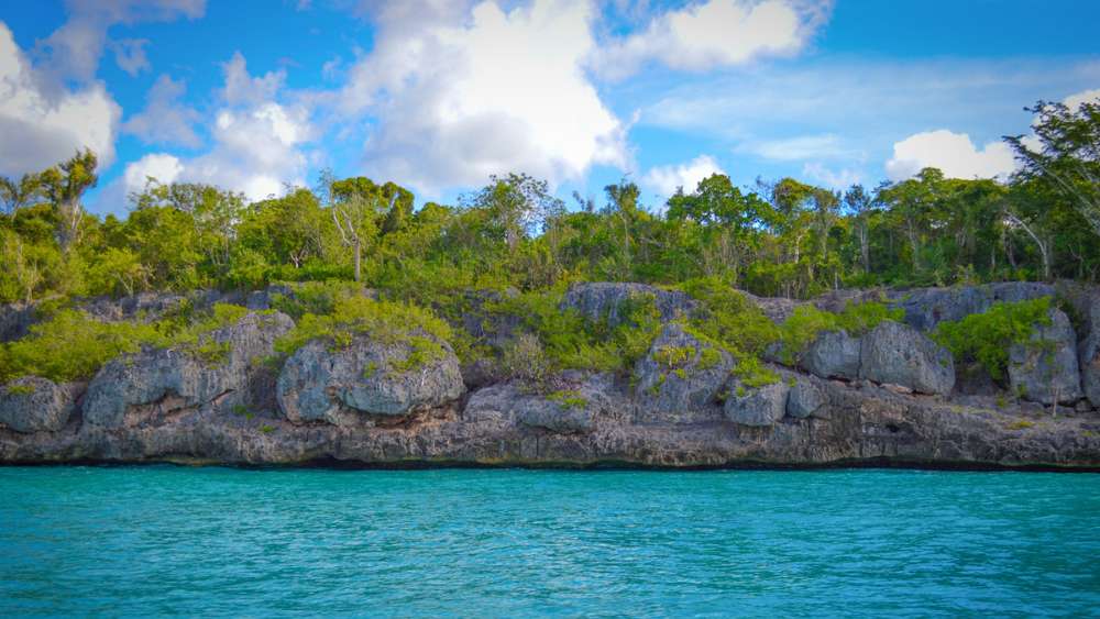 Excursiones Isla Saona
