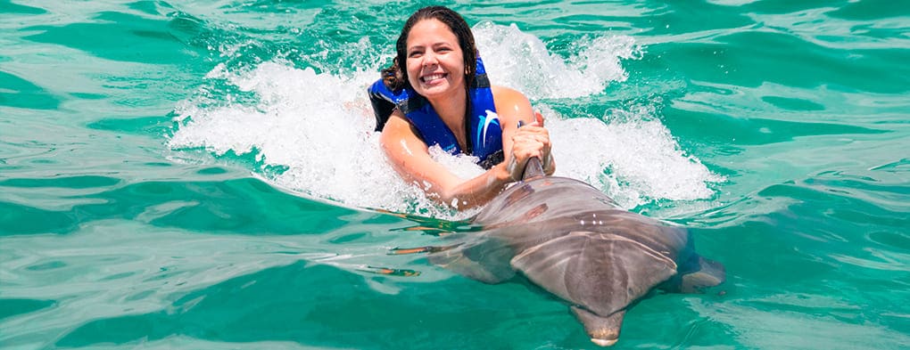 tour delfines punta cana