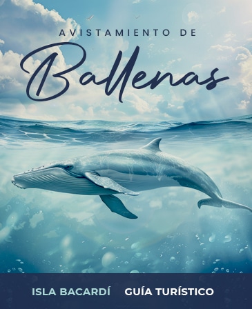 ballenas