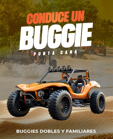 buggies-1