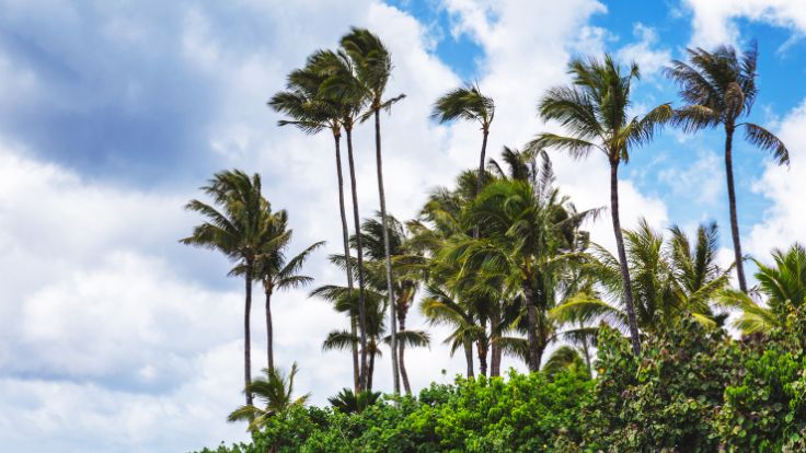 clima-tropical-villa-altagracia