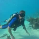 Curso Avanzado de Aguas Abiertas PADI (3)