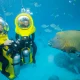 Excursiones punta cana scubadoo4