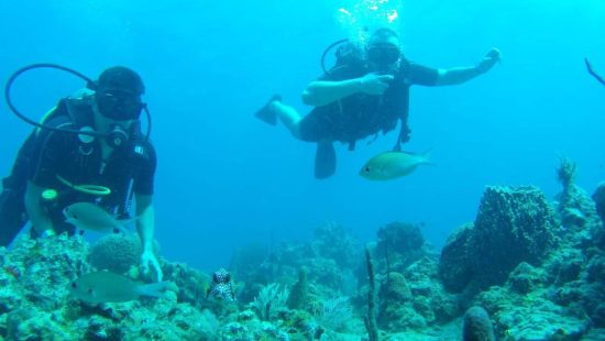 Punta Cana excursiones buceo (5)